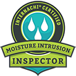 Mold Inspection